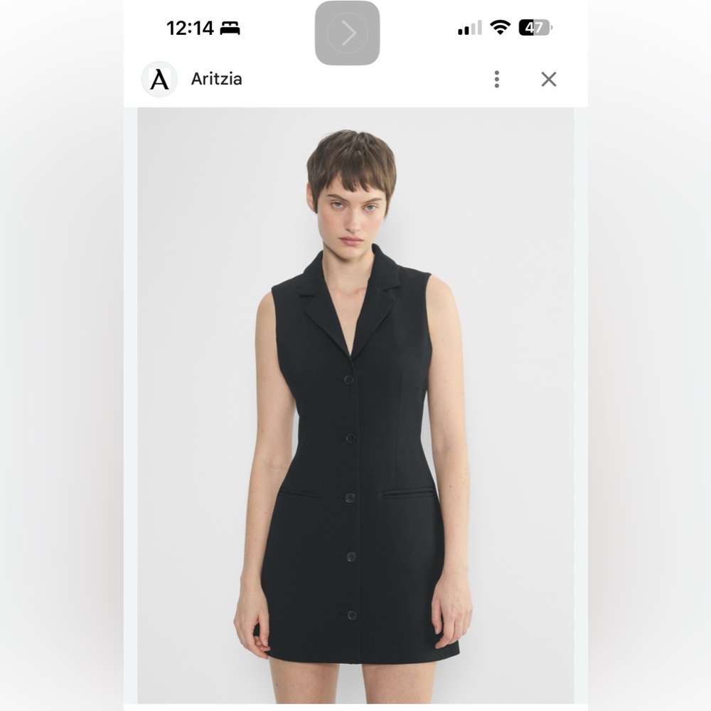 Aritzia Babaton Dark Pinstripe mini dress with buttons navy size 4